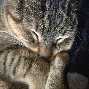 Meet your Posher, Ashleigh